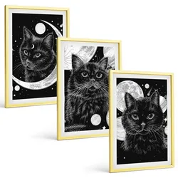 BILDER SET 3er Set - 40x60 cm Goldrahmen - Schwarze Katzen, Mond, Weltraum