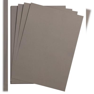 Clairefontaine Maya Fotokarton 50x70cm 270g 125 Bogen - Stahlgrau 397262C