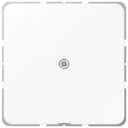 Jung Leitungsauslass aws CD 590 A WW