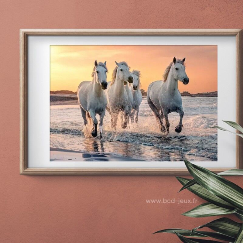 Puzzle 500 pcs XL Chevaux en Camargue - Calypto