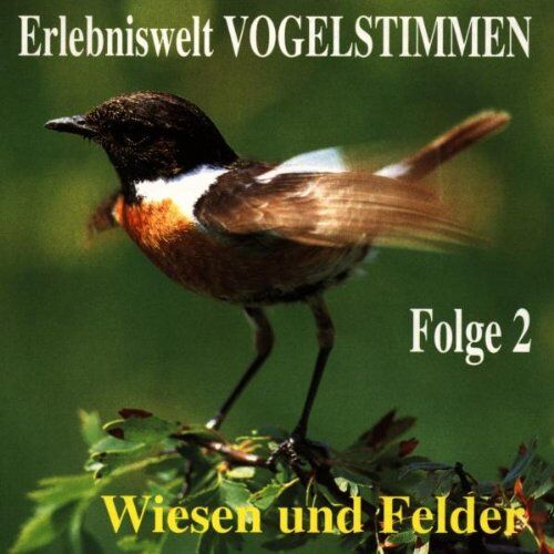 Vogelstimmen - Erlebniswelt Vogelstimmen Vol.2 - Preis vom 14.10.2026 23:07:16 h