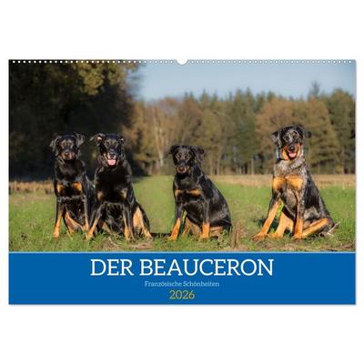 Der Beauceron (Wandkalender 2026 DIN A2 quer), CALVENDO Monatskalender