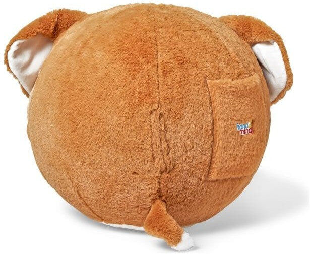 Yoga Ball Buddy with BubblePlush (Dog) - Learning Resources - Inflatable Yoga Ball Set for Kids - 12 Pose Cards & Plush Puppy Companion, 38 cm