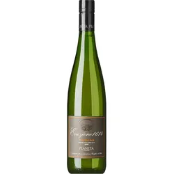 ́Eruzione 1614 ́ · Riesling IGT 2020, Planeta, Sizilien