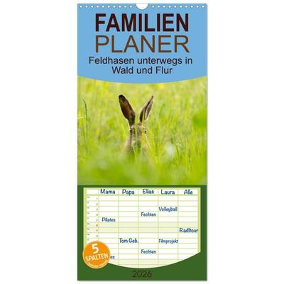 Familienplaner 2026 - Feldhasen unterwegs in Wald und Flur mit 5 Spalten (Wandkalender, 21 x 45 cm) CALVENDO