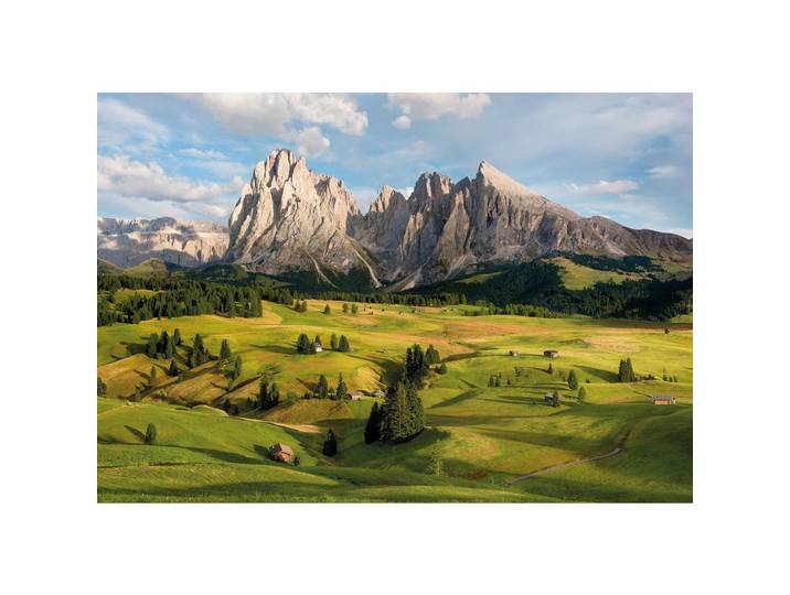 VLIESTAPETE ALPEN