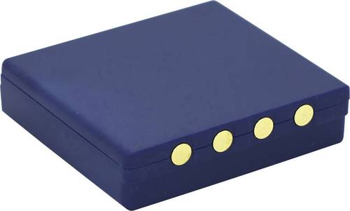 Beltrona Kran-Fernbedienungs-Akku 6V 700 mAh