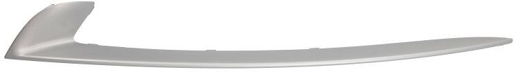 BLIC 6502-07-0067927NP Bumper moulding
