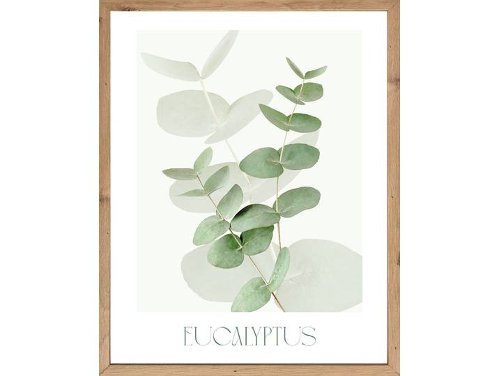 Bild mit Rahmen BÖNNINGHOFF Wandbild gerahmt EUCALYPTUS 40x50 cm – Botanik Wanddeko Boho Scandi , farbe rahmen: artisan, farbe bild(er): grün, weiß, B:50cm H:40cm T:2,1cm, MDF, Papier, Bilder, Bild mit Rahmen, mit dekorativem Rahmen