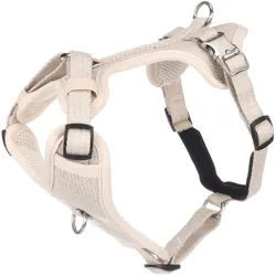 Flamingo H Lago (XL, Hund, Allgemein, Spazieren), Halsband + Leine