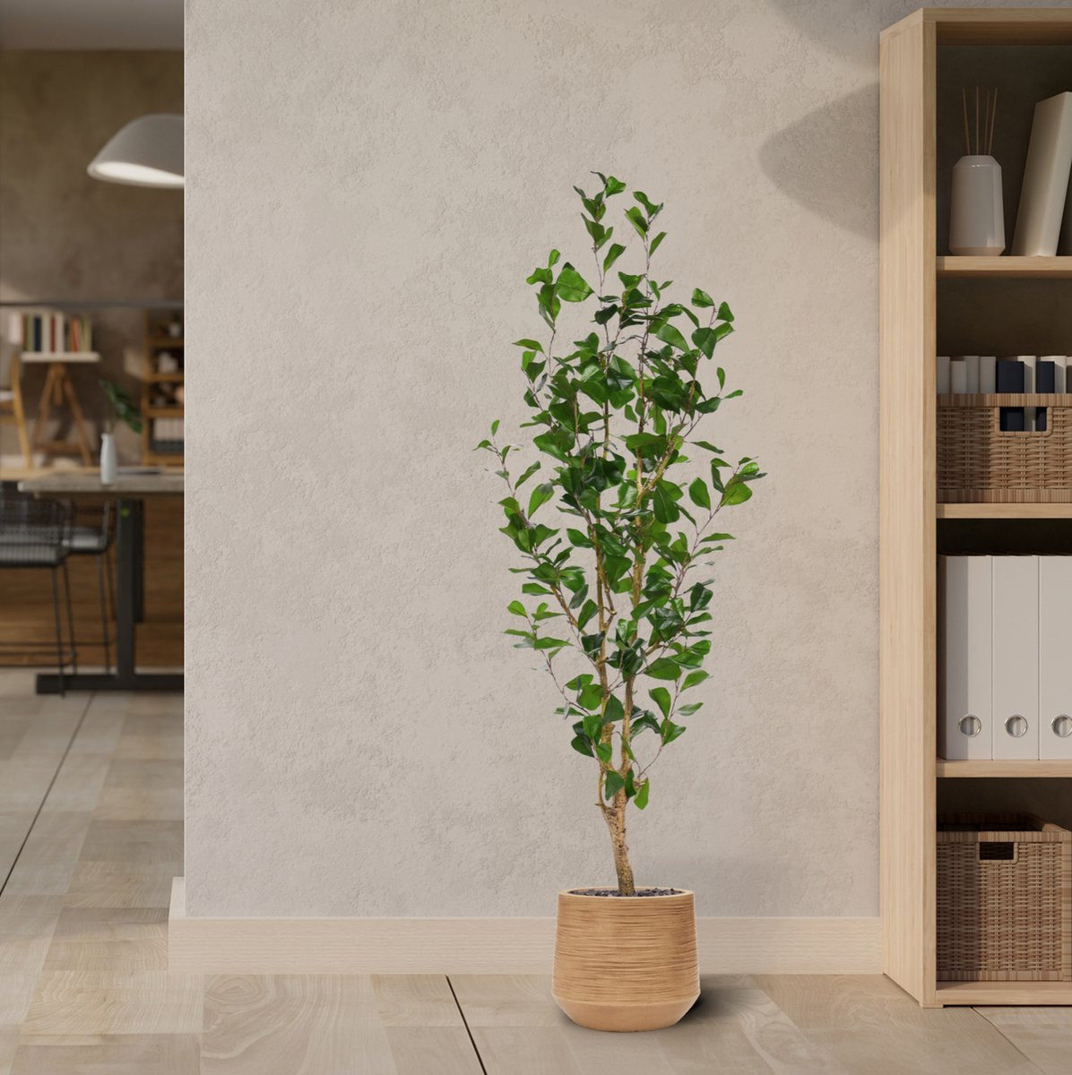 Ficus Triangularis Kunstplant met pot, 150 cm
