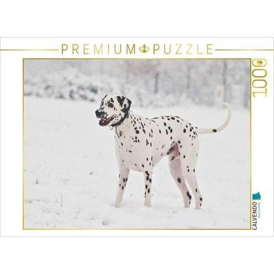 CALVENDO Puzzle Dalmatiner im Schnee | 1000 Teile Lege-Größe 64x48cm Foto-Puzzle für glückliche Stunden