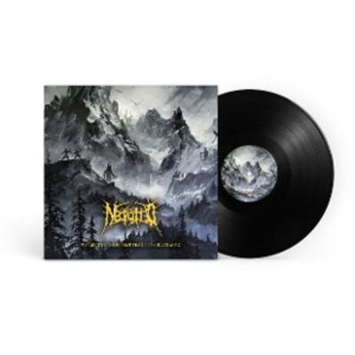 We Are The Gods That Tear Ourselves Apart - Necrotted, Vinyl