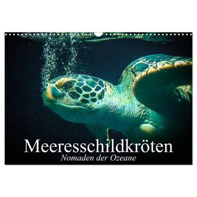 Meeresschildkröten. Nomaden der Ozeane (Wandkalender 2027 DIN A3 quer), CALVENDO Monatskalender
