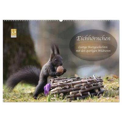 Eichhörnchen - Lustige Kurzgeschichten mit den quirligen Wildtieren (Wandkalender 2027 DIN A2 quer), CALVENDO Monatskalender