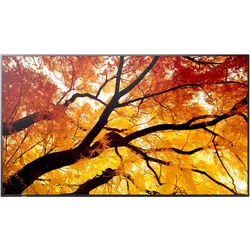 Sharp MultiSync M552 Digital Signage Display 139,7 cm 55 Zoll