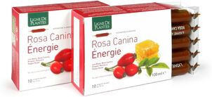 NATURA SERVICE Srl Rosa Canina Énergie BIO - Integratore con Miele, Rosa Canina, Propoli, Polline e Pappa Reale