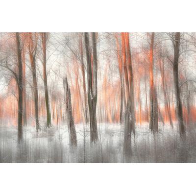 Fototapete PAPERMOON "Photo-Art GUSTAV DAVIDSSON, ABENDLICHT", bunt, B:4m L:2,6m, Vlies, Tapeten