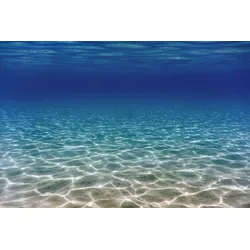Fototapete PAPERMOON "UNTERWASSER-WELT-OZEANE SEE MEER WASSER SAND DÜNEN", bunt, B:4m L:2,6m, Vlies, Tapeten