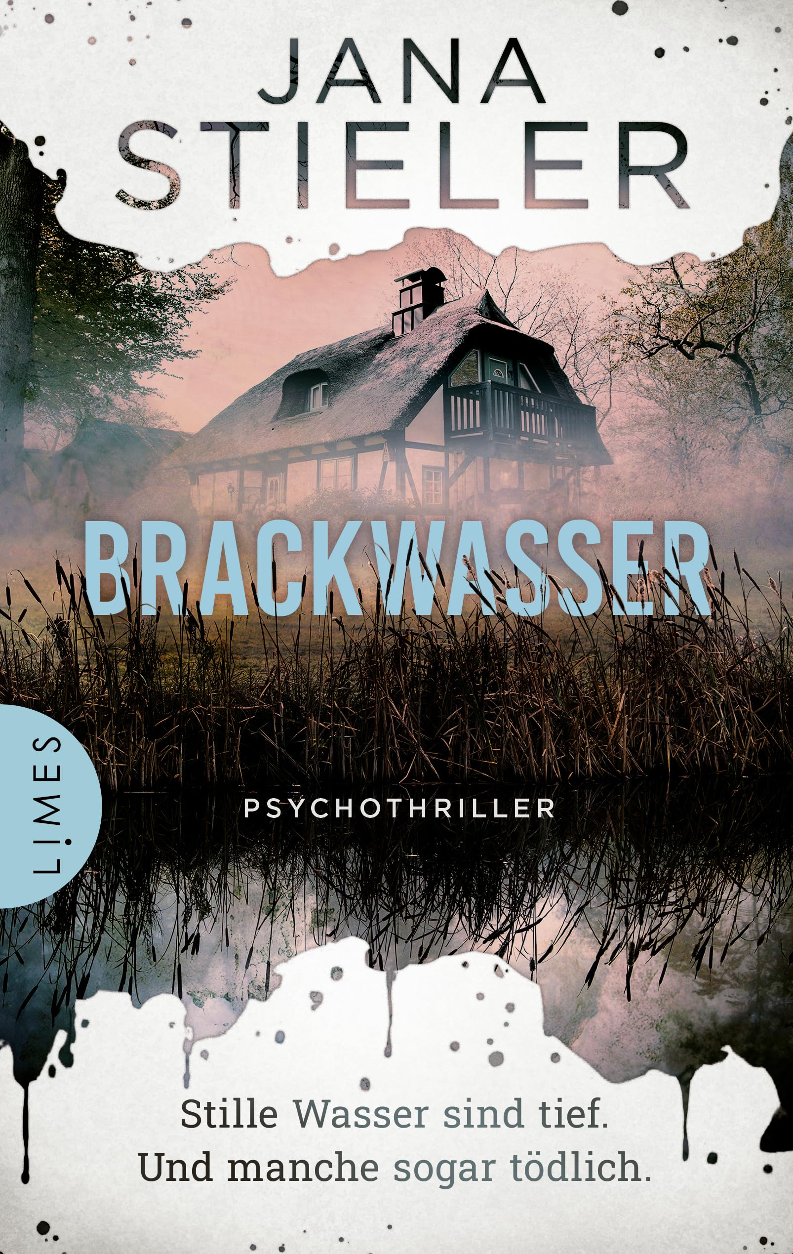 Brackwasser - Stille Wasser sind tief. Und manche sogar tödlich …: Psychothriller - Atmosphärische Spannung aus Norddeutschland - Preis vom 09.10.2026 07:28:09 h