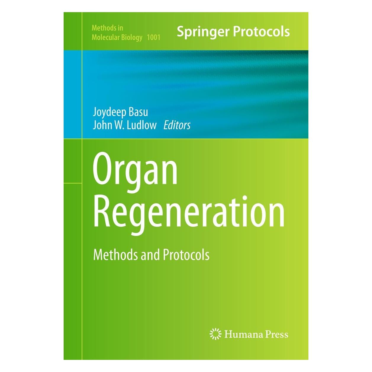 Humana Press Organ Regeneration (Englisch, Hardcover, John W. Ludlow, Joydeep Basu) (9781627033626)