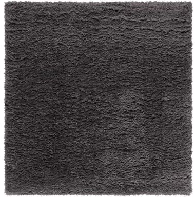 SAFAVIEH Indie Shag Hasna 2-inch Thick Rug