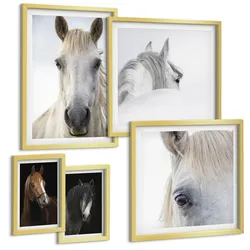 BILDER SET 5er Set - 50x50 cm & 20x30 cm & 40x60 cm Goldrahmen - Pferdeporträts in Schattierungen