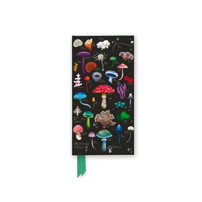 Schmales Hardcover-Notizbuch: Anna Stead, Champignons und Pilze, Nonbook von Flame Tree Publishing, Browntrout, 978-1-83562-877-5