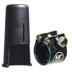 GF-08M-BSS-5 Alt-Sax Silber