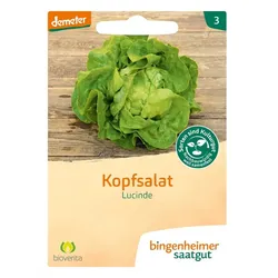 Kopfsalat - Lucinde