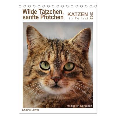 Wilde Tätzchen, sanfte Pfötchen (Tischkalender 2026 DIN A5 hoch), CALVENDO Monatskalender