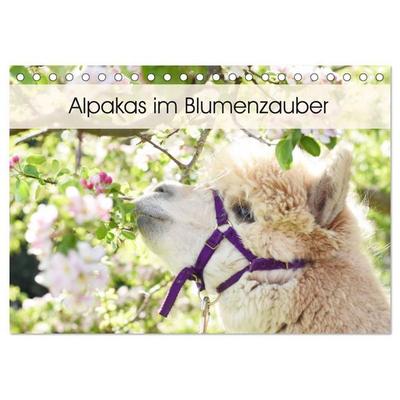 Alpakas im Blumenzauber (Tischkalender 2027 DIN A5 quer), CALVENDO Monatskalender