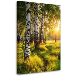 LEINWANDBILD Birkenwald Natur Landschaft 40x60cm