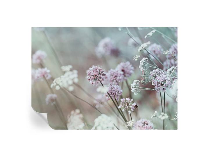 Wallfluent Fototapete 208x146 cm - Wildblumen, Weiß, 208x146 cm, Tapeten & Wandverkleidungen, Fototapeten