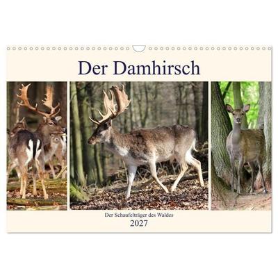 Der Damhirsch - Der Schaufelträger des Waldes (Wandkalender 2027 DIN A3 quer), CALVENDO Monatskalender