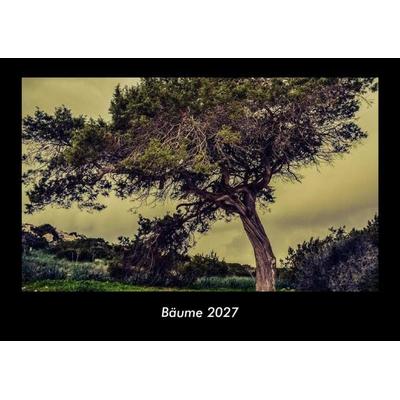 Bäume 2027 Fotokalender DIN A3