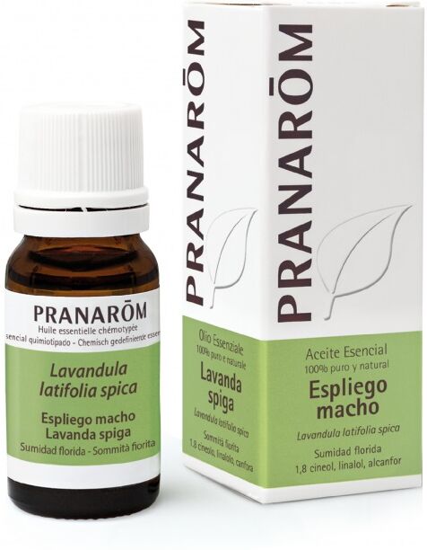Pranarom Lavender Essential Oil 10 ml