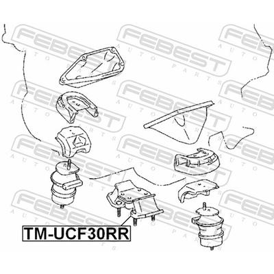 FEBEST Lagerung, Motor TM-UCF30RR mitte für TOYOTA
