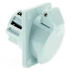 Bals Elektrotechnik 425 425 CEE Anbaudose 16.0 A 2polig 50 V 1 St.
