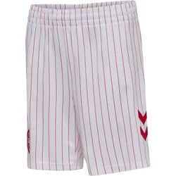 hummel DBU Dänemark Auswärtsshorts 2026 Kinder 9001 - white 140