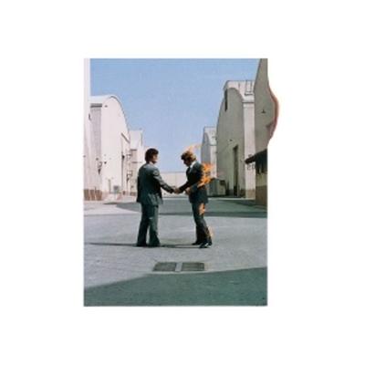 Wish You Were Here - Pink Floyd, Vinyl
