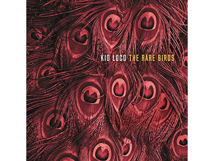 The Rare Birds