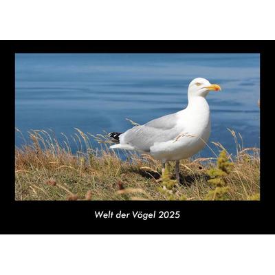 Welt der Vögel 2025 Fotokalender DIN A3