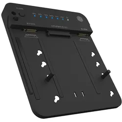 ICY BOX IB-2915MSCL-C31 Docking & Klonstation