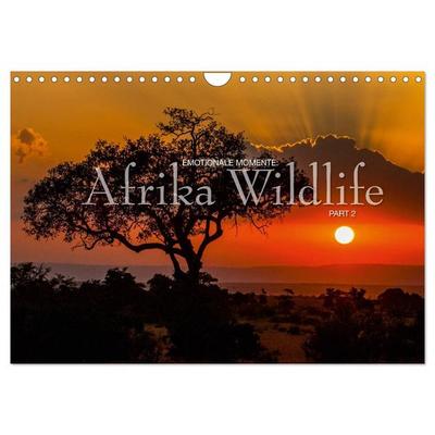 Emotionale Momente: Afrika Wildlife Part 2 / CH-Version (Wandkalender 2026 DIN A4 quer), CALVENDO Monatskalender