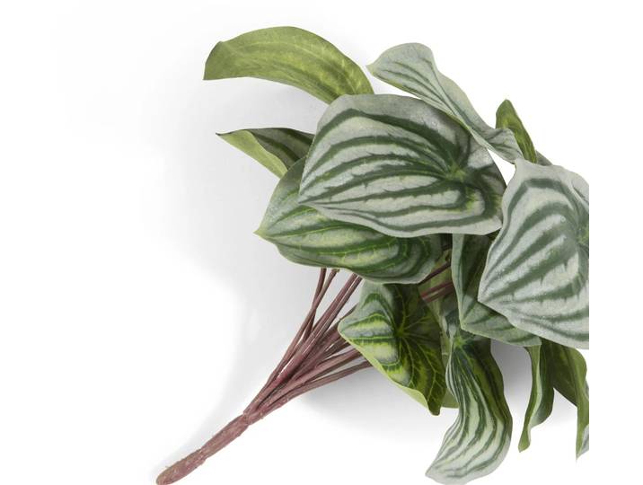 Coco Maison Peperomia Bush H25cm Kunstblume