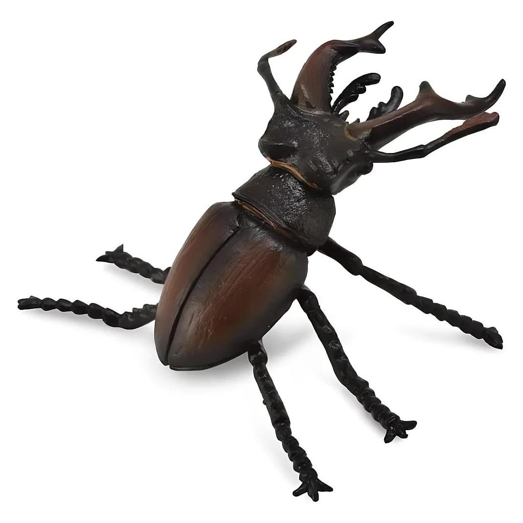Collecta Hirschkäfer (M) (88703)