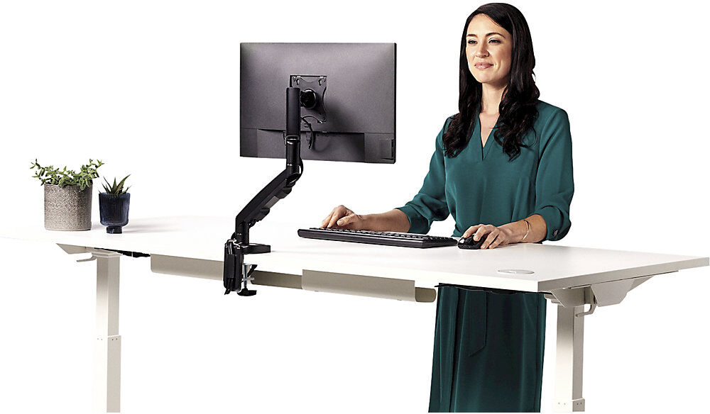 EPPA Einzel-Monitorarm, Schwenkbereich 180°, HxBxT 480 x 117 x 575 mm, schwarz Fellowes