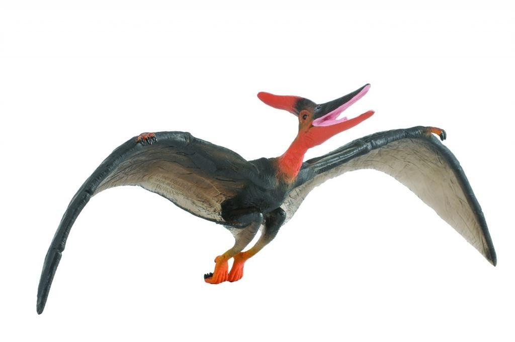 Collecta Handgeschilderde Pteranodon-dinosaurusfiguur schaal 1:40 Deluxe-uitvoering