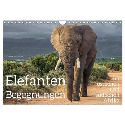 Elefanten Begegnungen im östlichen und südlichen Afrika (Wandkalender 2026 DIN A4 quer), CALVENDO Monatskalender